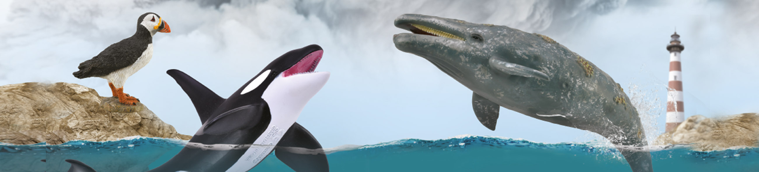 Océano y Regiones Polares