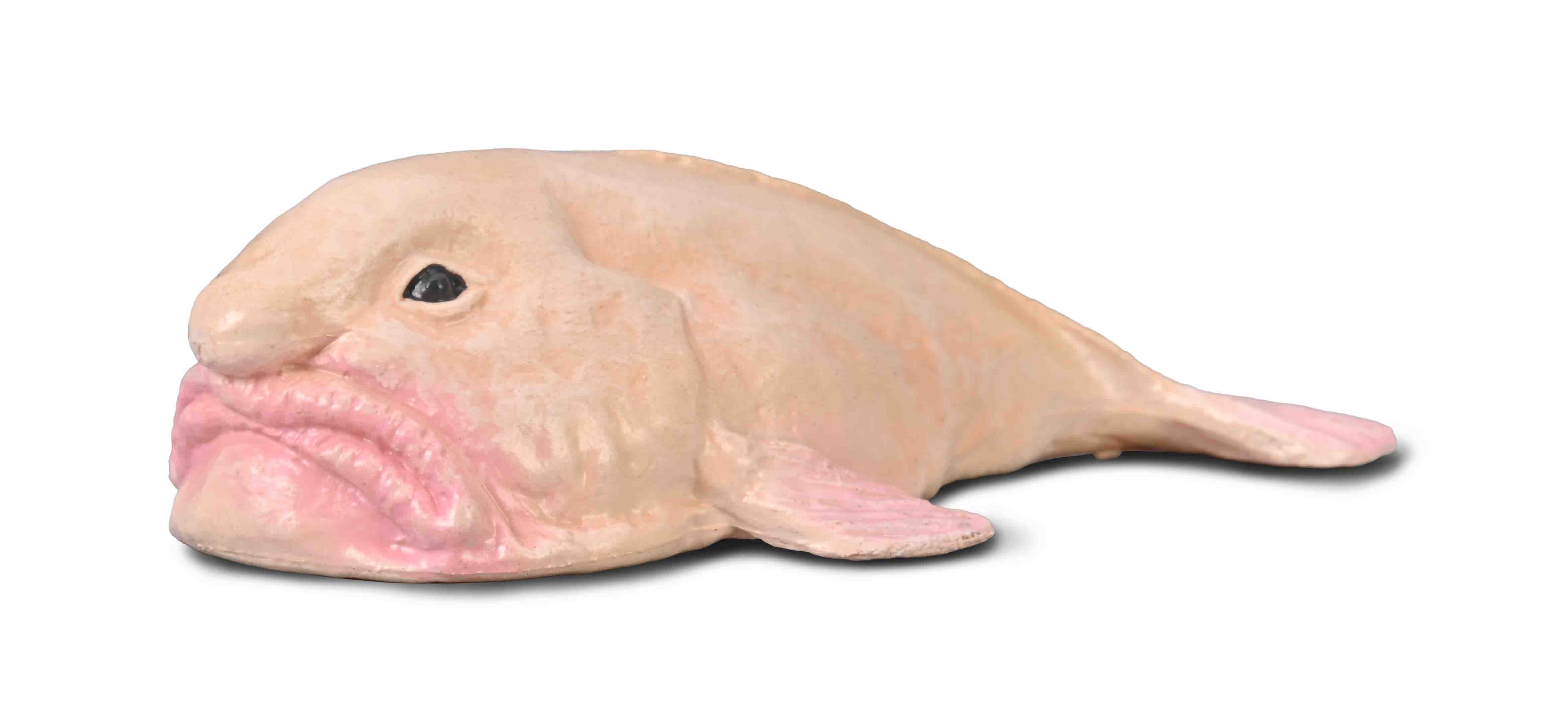 Blobfish - 80037