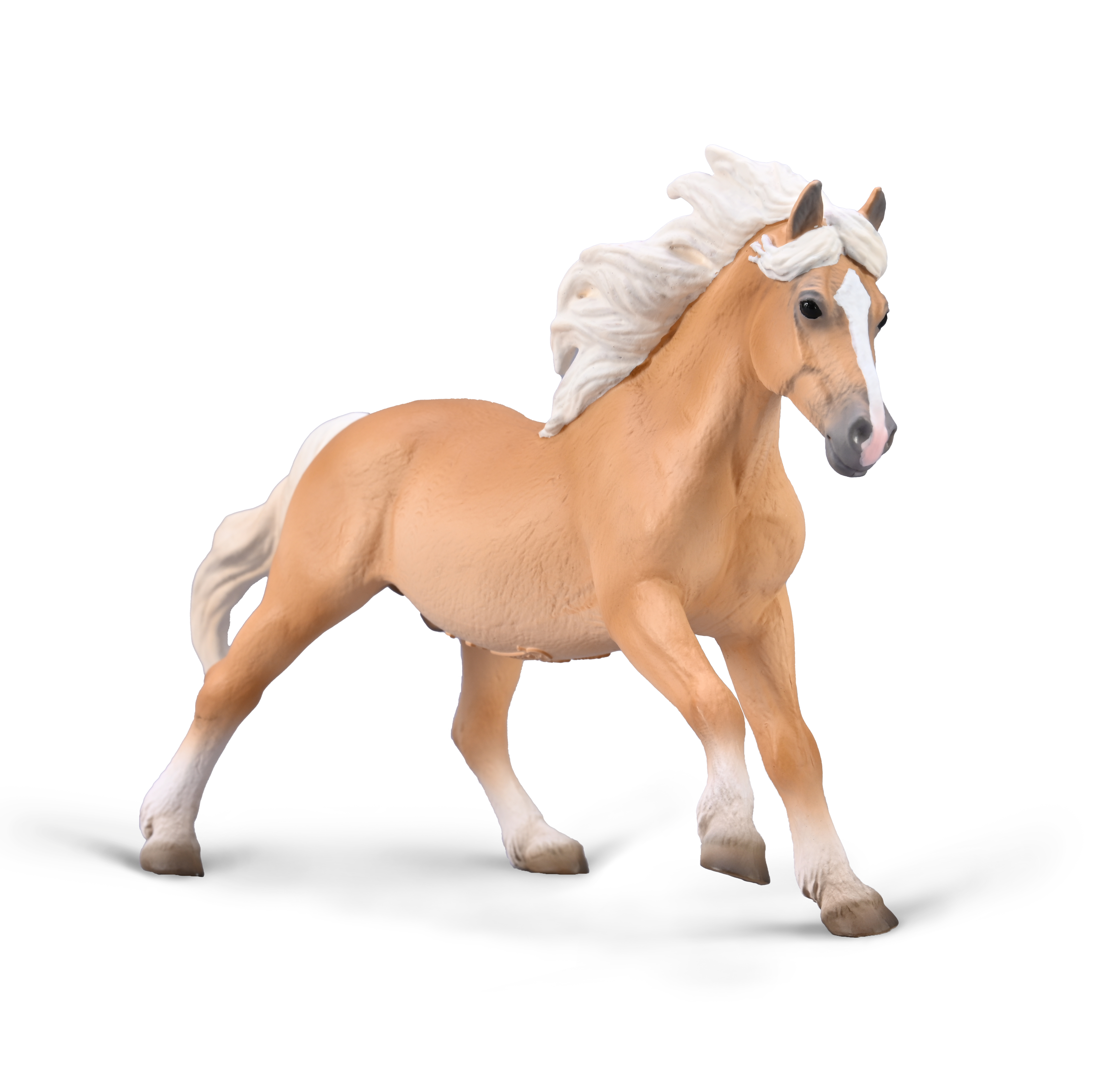 Haflinger Stallion