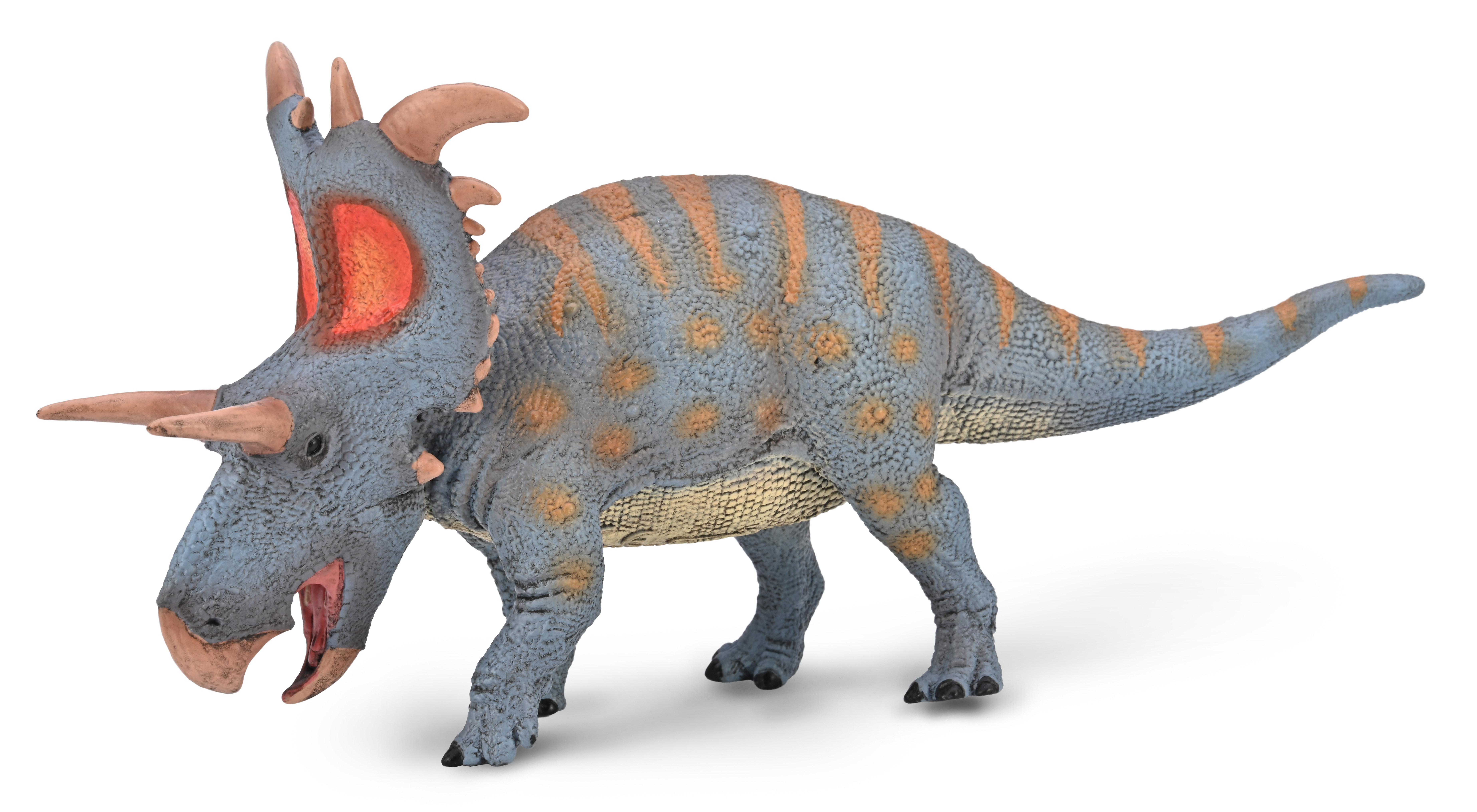 Lokiceratops - escala 1:40