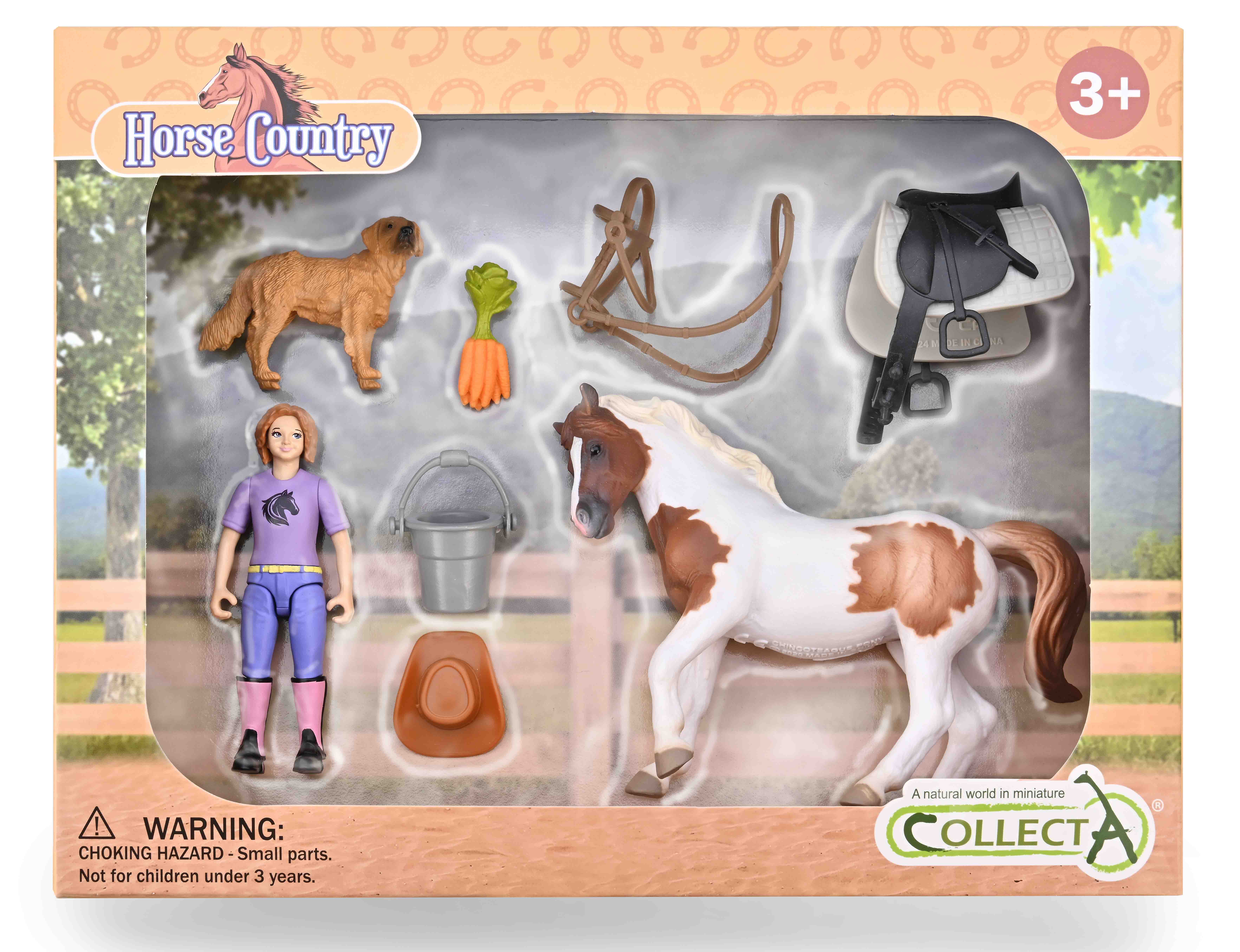 Girl Hobby Rider with Animals & Accessories Window Box - 84320