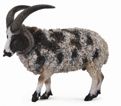 Jacob Sheep  - 88728